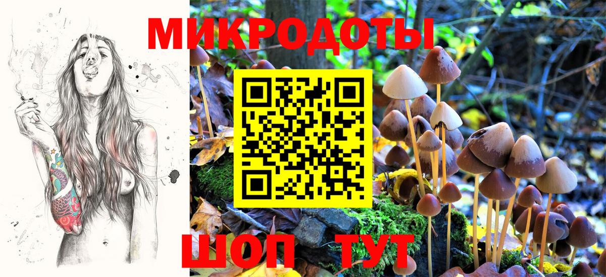 Галлюциногенные грибы Cubensis Снежинск