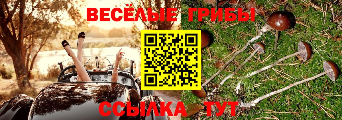 Снежинск  Галлюциногенные грибы мицелий  Вход с VPN 